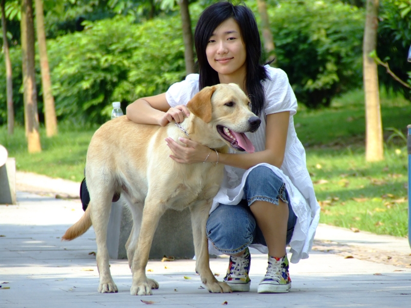 风中的绿叶的第一张照片--青岛相亲服务中心