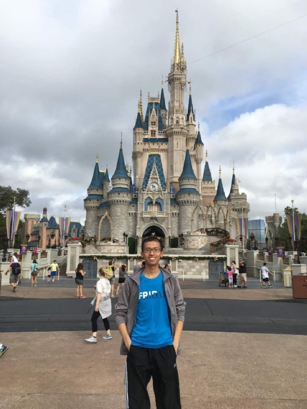 太阳花的第一张照片--青岛相亲服务中心