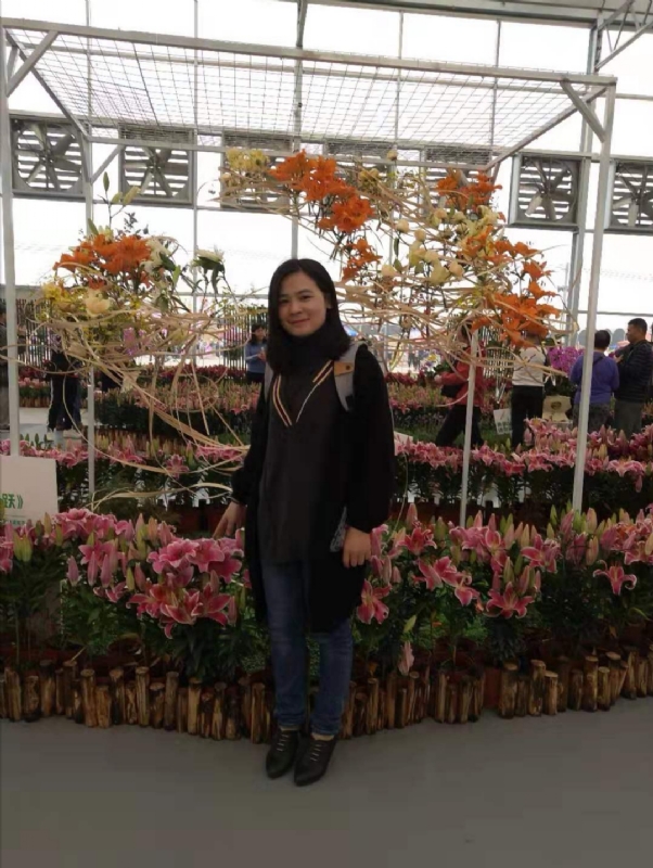 紫苏的第二张照片--青岛相亲服务中心