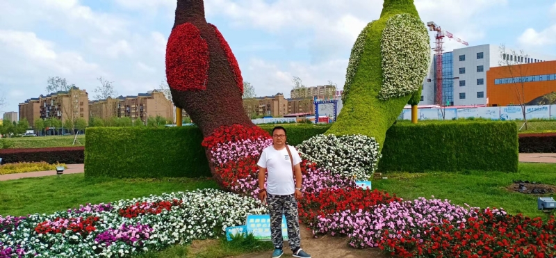 尘埃的第一张照片--青岛相亲服务中心