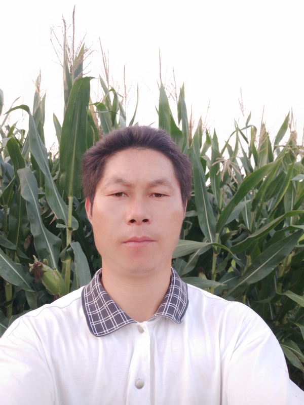 四海游龙的第二张照片--青岛相亲服务中心