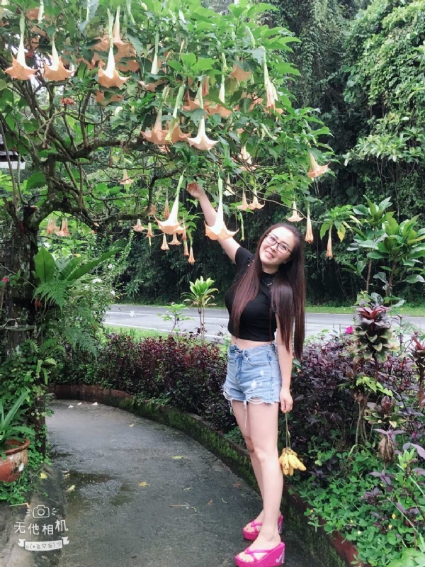 离异单身无子的第二张照片--青岛相亲服务中心