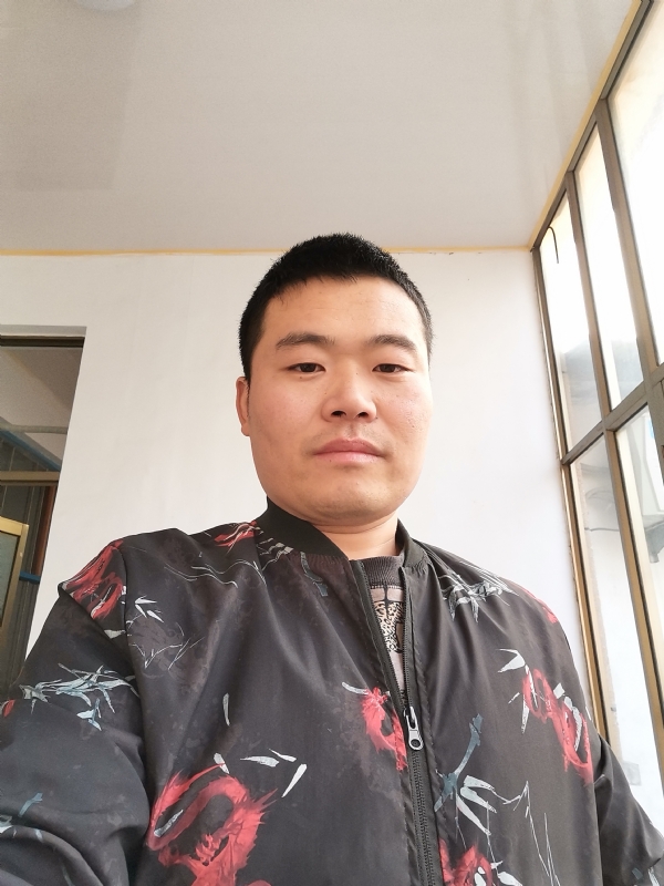 会飞的猪的第一张照片--青岛相亲服务中心