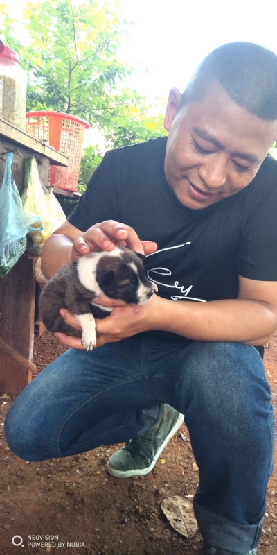 深圳相亲的第一张照片--青岛相亲服务中心