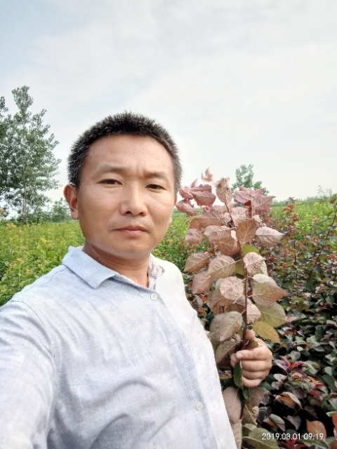 孩子爸的第二张照片--青岛相亲服务中心