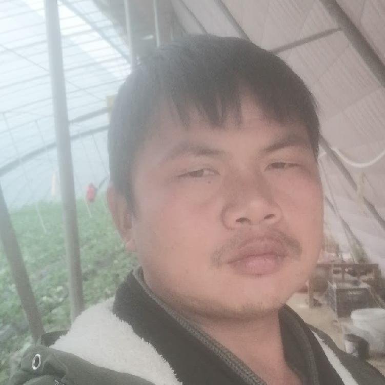 孤狼‘的第一张照片--青岛相亲服务中心