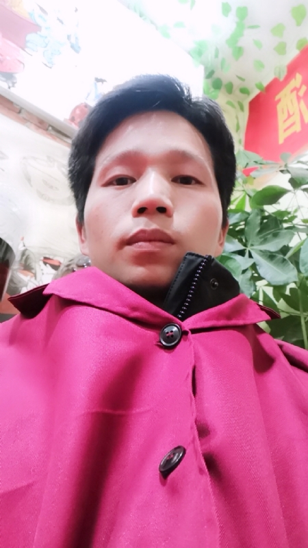 单身的林凡的第一张照片--青岛相亲服务中心