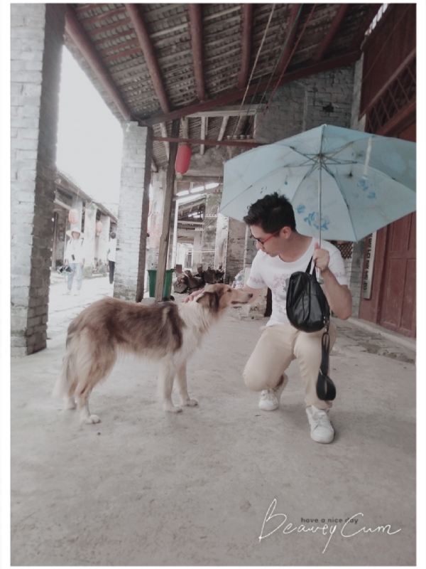 以利亚的第二张照片--青岛相亲服务中心