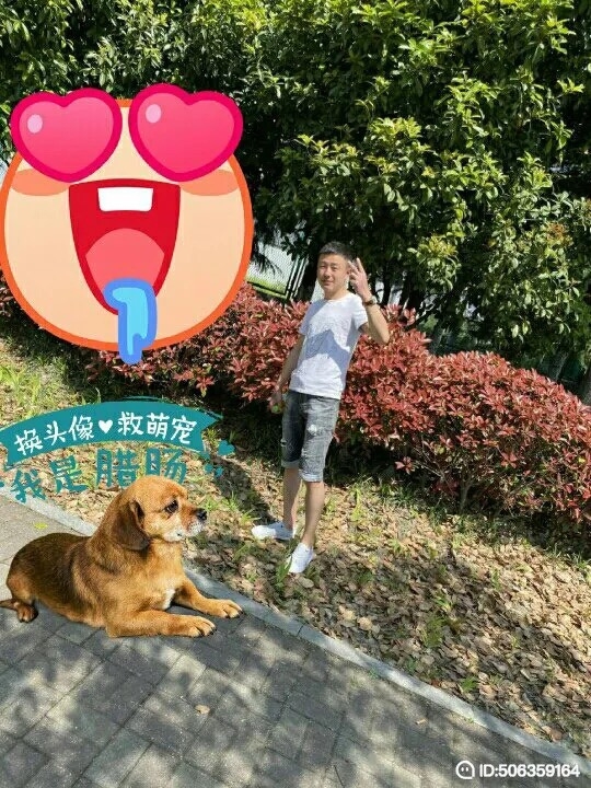 我若不坚强谁替我勇敢的第五张照片--青岛相亲服务中心