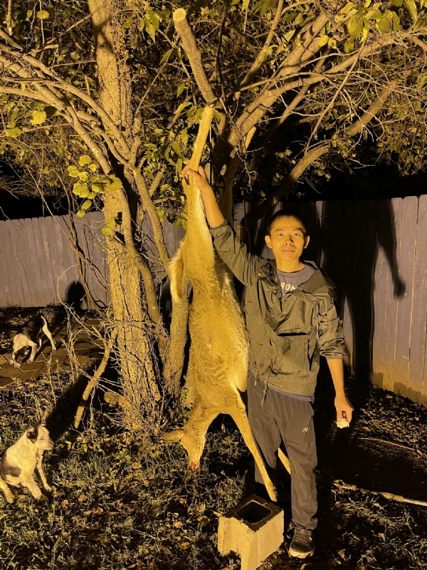 Kandy的第三张照片--青岛相亲服务中心