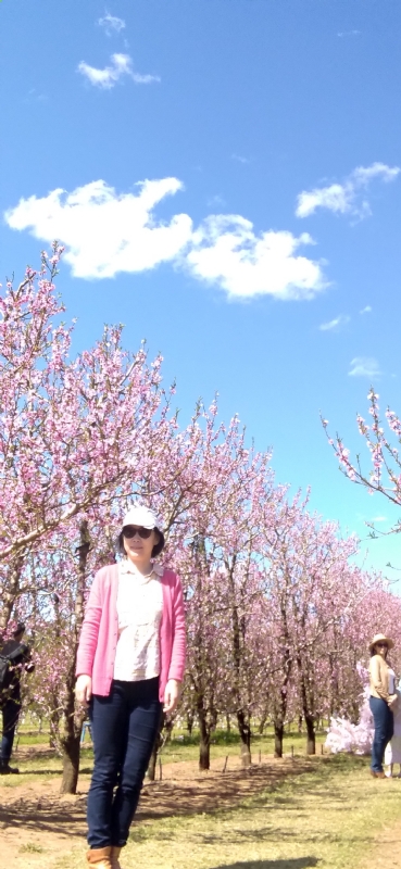 Grace的第二张照片--青岛相亲服务中心