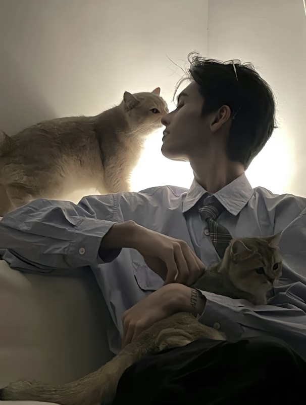 怪猫的第一张照片--青岛相亲服务中心