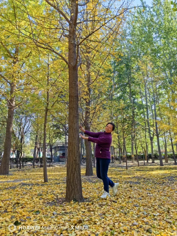 Shirley的第一张照片--青岛相亲服务中心