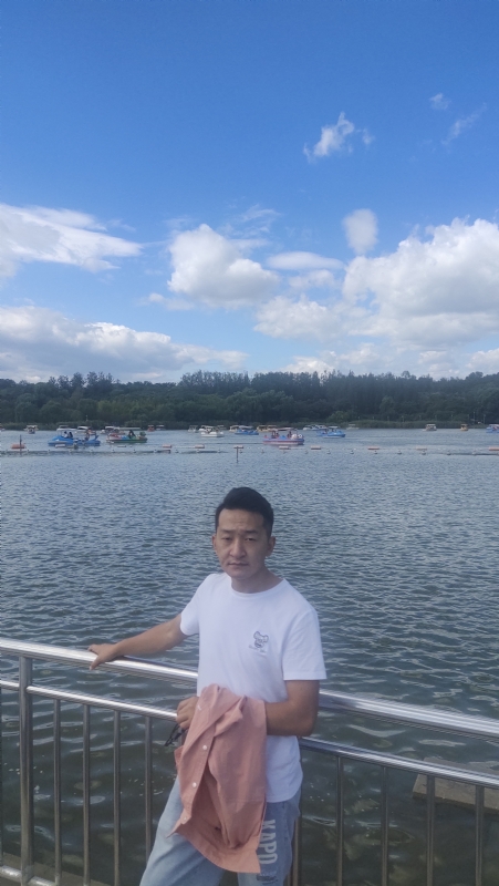 脱了壳的龟的第一张照片--青岛相亲服务中心