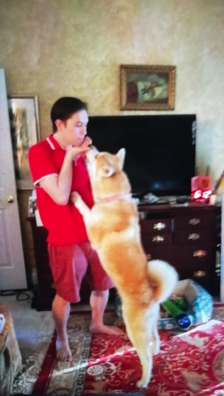 Leluch的第一张照片--青岛相亲服务中心