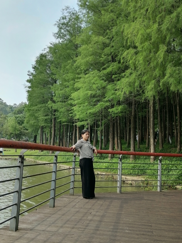 遗失的记忆的第二张照片--青岛相亲服务中心