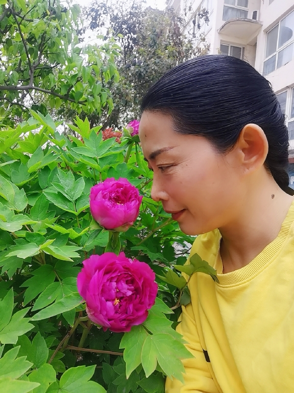 厚德载物的第一张照片--青岛相亲服务中心