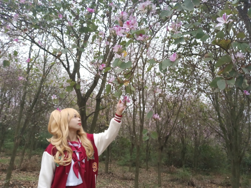 暮秋的第二张照片--青岛相亲服务中心