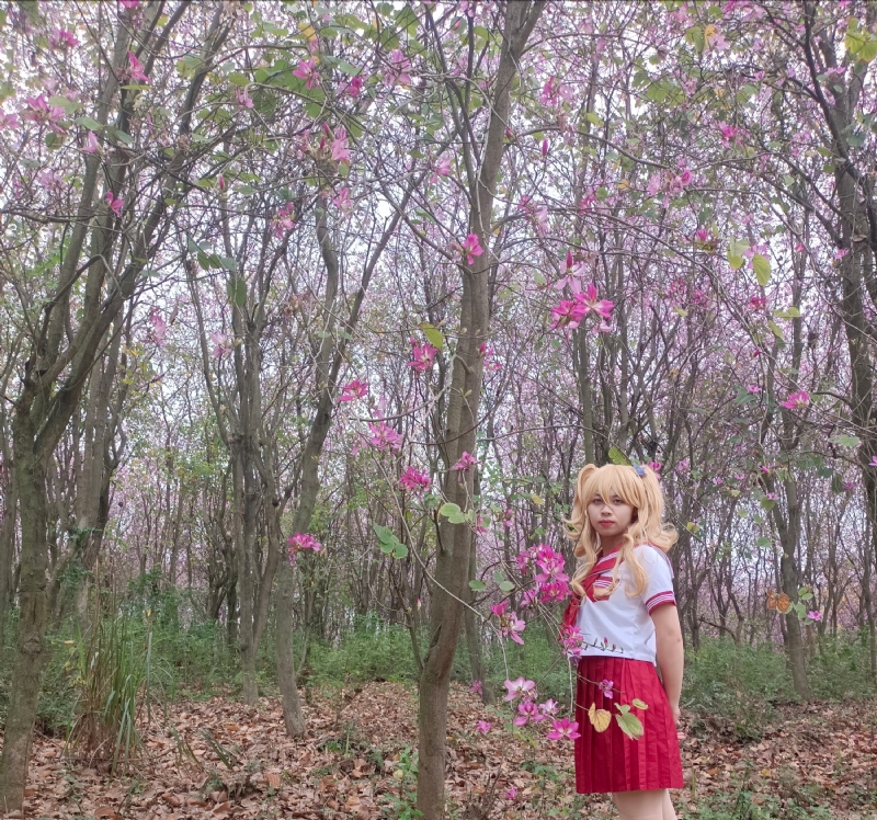 暮秋的第三张照片--青岛相亲服务中心