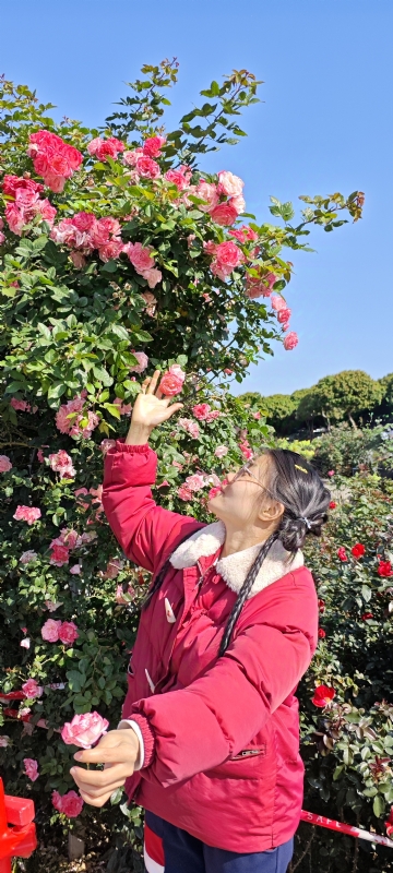 狗狗的第一张照片--青岛相亲服务中心