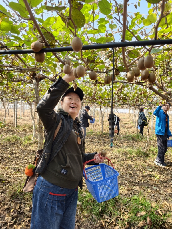 夜莺的第三张照片--青岛相亲服务中心